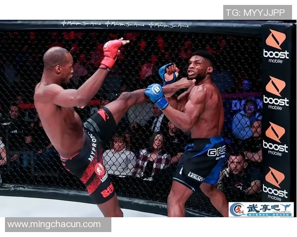 MMA格斗之夜:KO瞬间集锦 MMA格斗之夜:KO瞬间集锦