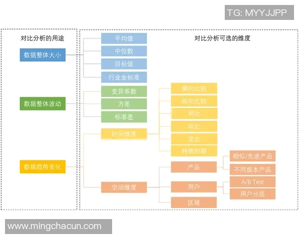 球员评分与数据对比分析